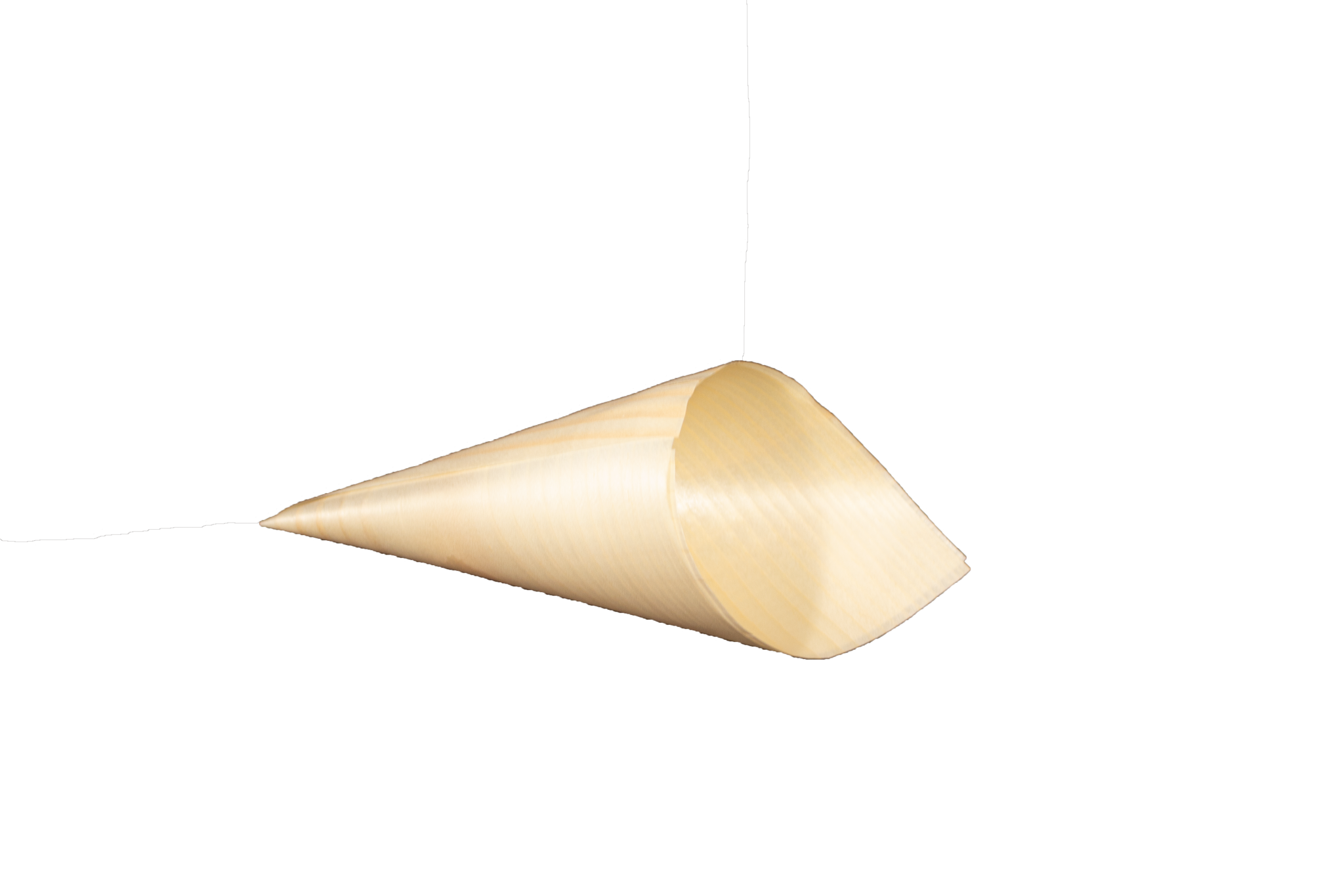 Eco² ® 3” Wooden Cone