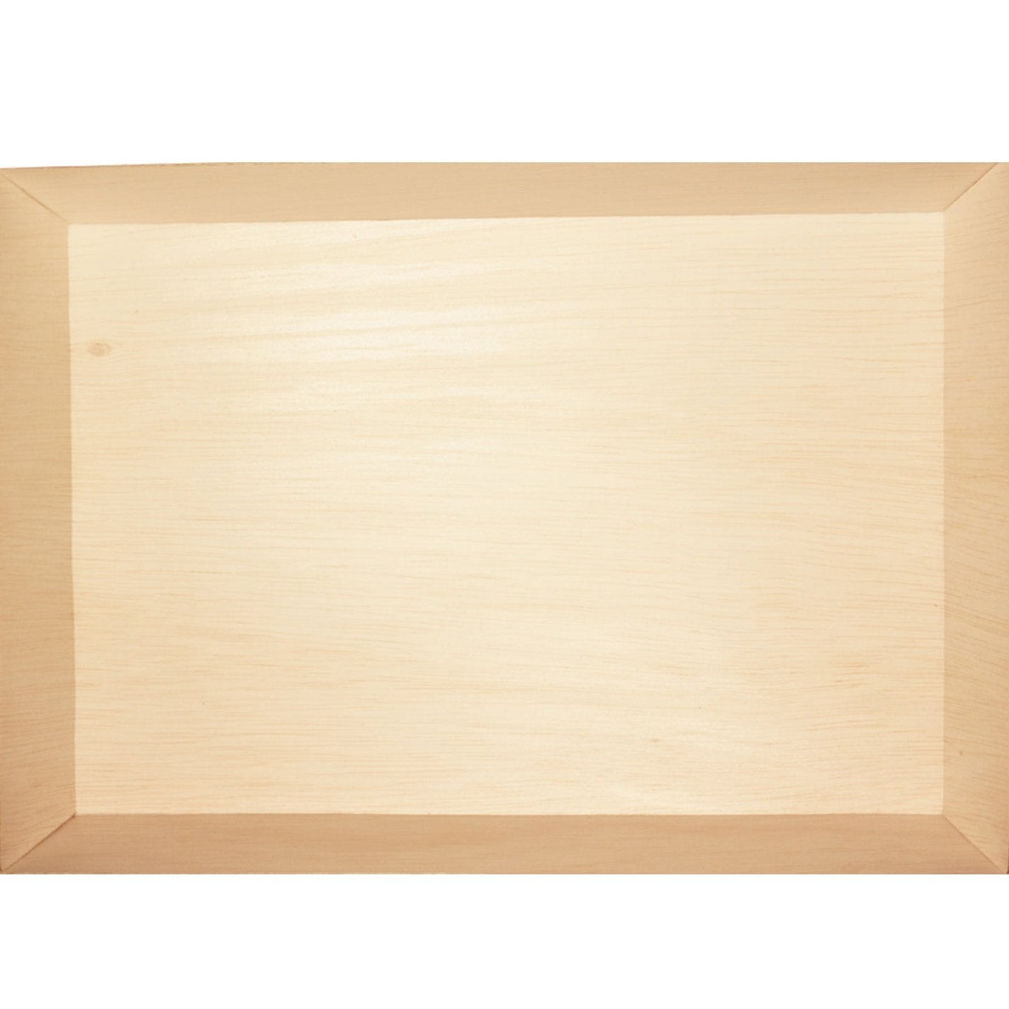 11" x 15" x 1.25" Fixed Side Large Tray (10 count Retail Pack) ESTIMATED RESUPPLY 2/15/21-VerTerra Dinnerware